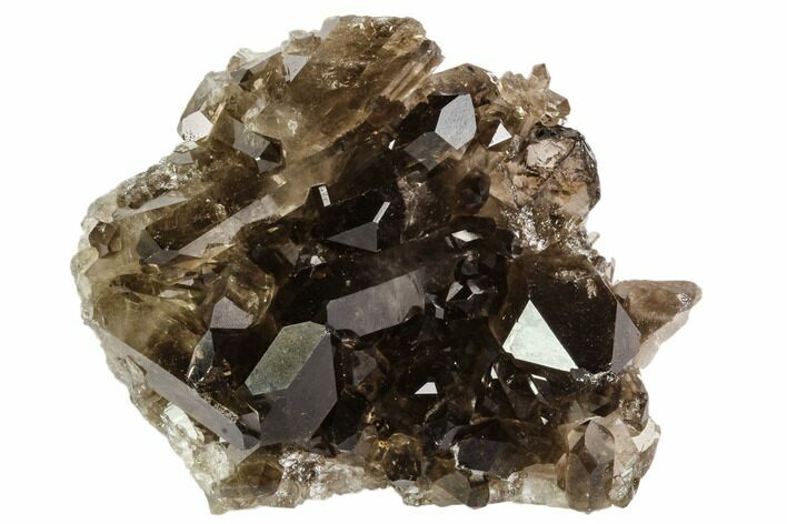 Dark Smoky Quartz Crystal Cluster - Brazil #106963
